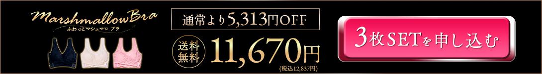 3枚セットで申し込む