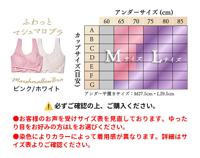 サイズ表