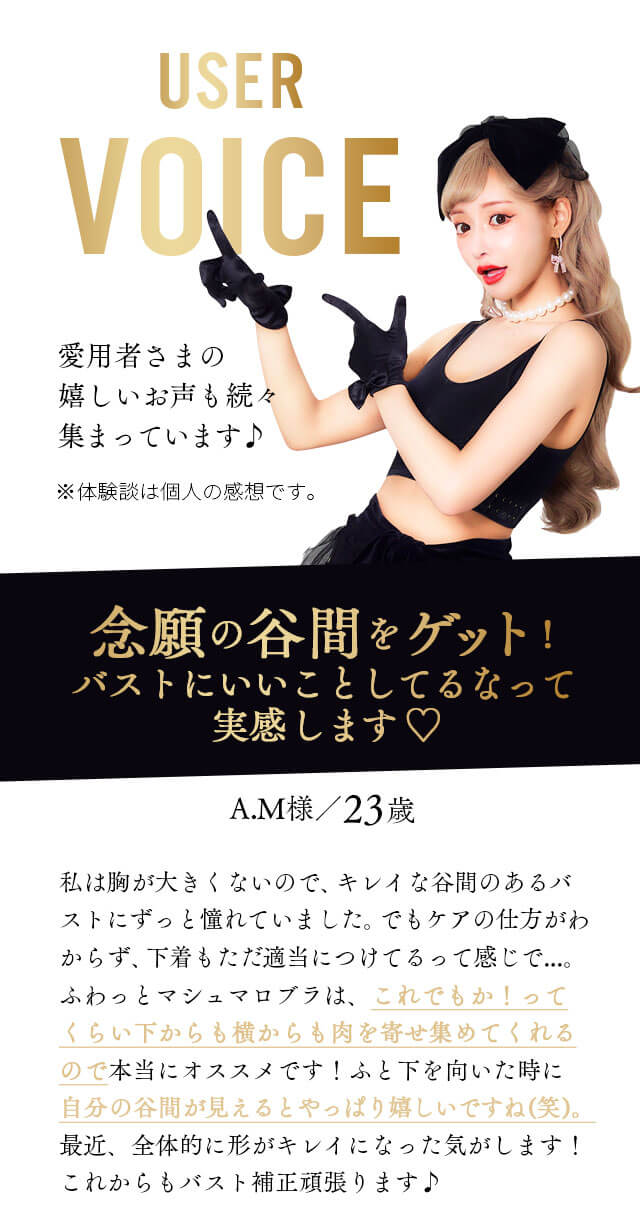 ユーザーボイス